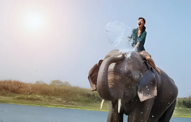 Why Elephant Riding Should Be Removed from Your Travels