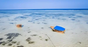 Person reading a book on a hammock strung between two palm trees on a secluded beach. Crystal-clear water laps at the shore in the background. Text overlay: Quiet Travel.